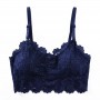 F11 Stylish Lace Inner Wear 简约欧美时尚蕾丝内搭