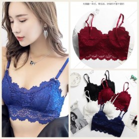 F11 Stylish Lace Inner Wear 简约欧美时尚蕾丝内搭