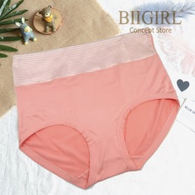 2558 High Waist Panties