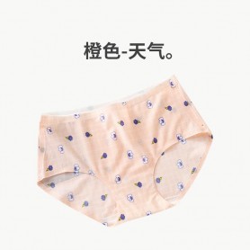 507 Seamless Panties