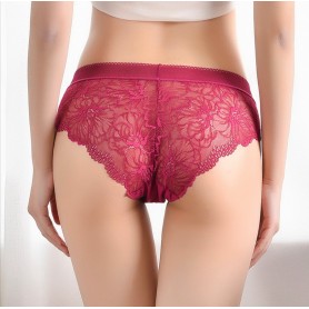 5544 Lace Panties