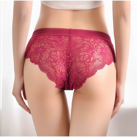 5544 Lace Panties