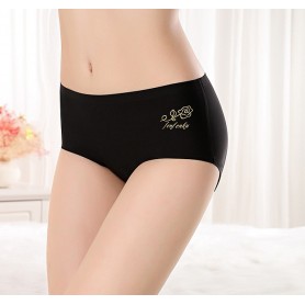 6022 Seamless Ice Silk Panties