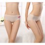 6033 Seamless Ice Silk Panties