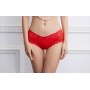 5566 Lace Panties