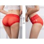 5566 Lace Panties