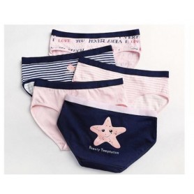 K212 Kawaii Panties 5pcs Set 可爱内裤5件套装