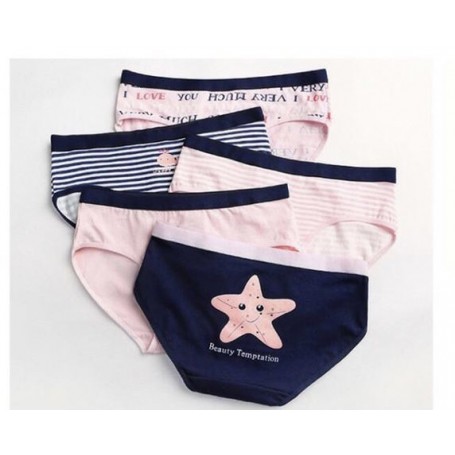 K212 Kawaii Panties 5pcs Set 可爱内裤5件套装