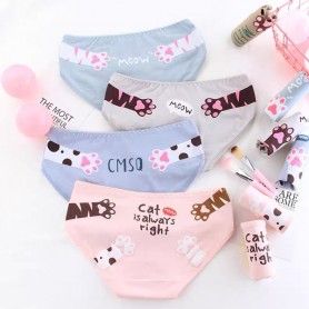 K215 Kawaii Panties 5pcs Set 可爱内裤5件套装