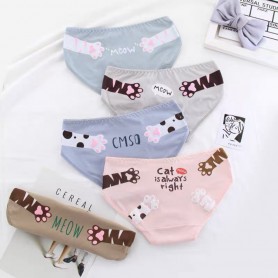 K215 Kawaii Panties 5pcs Set 可爱内裤5件套装