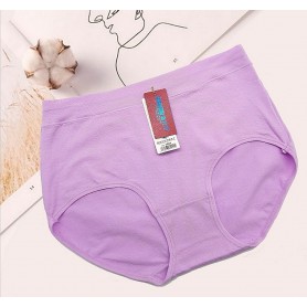 3001 Plus Size Cotton Panties