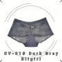 CV01 Lace Panties