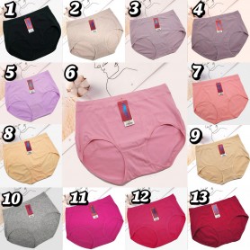 3001 Plus Size Cotton Panties