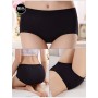 8307 HA Cotton Panties