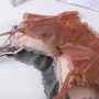 S1005 Korean Fairy lace back inner