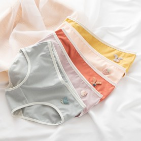 K308  Kawaii Panties 5pcs Set 可爱内裤5件套装