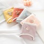 K308  Kawaii Panties 5pcs Set 可爱内裤5件套装