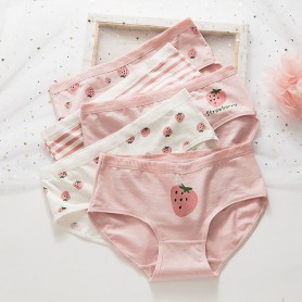 K309 Kawaii Panties 5pcs Set 可爱内裤5件套装