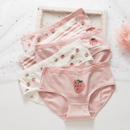 K309 Kawaii Panties 5pcs Set 可爱内裤5件套装