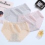 Japanese Lace Panties 1904
