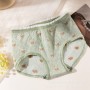 High Quality New Panties 2207 1pcs